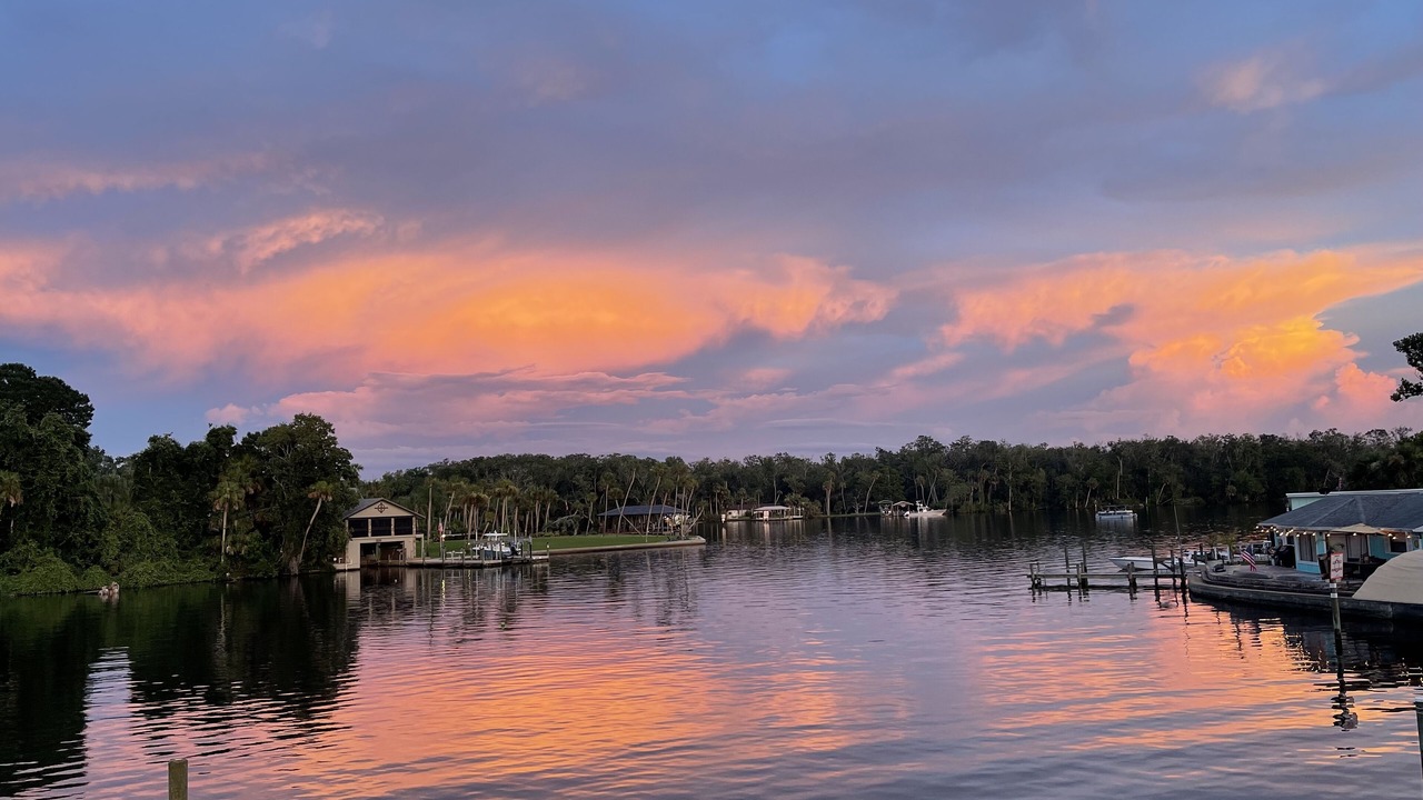 Photo of Others in Homosassa