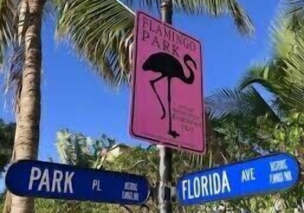 Photo of Others in Flamingo Parks