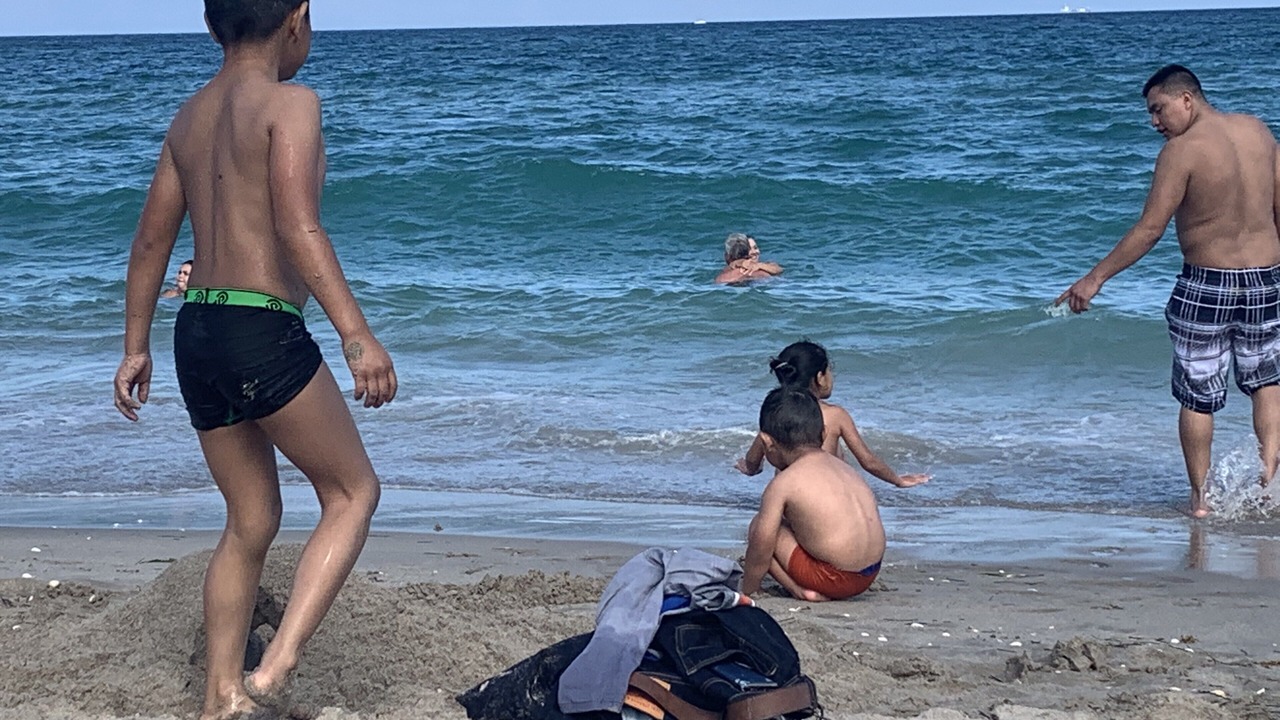 Photo of Others in Flamingo Parks