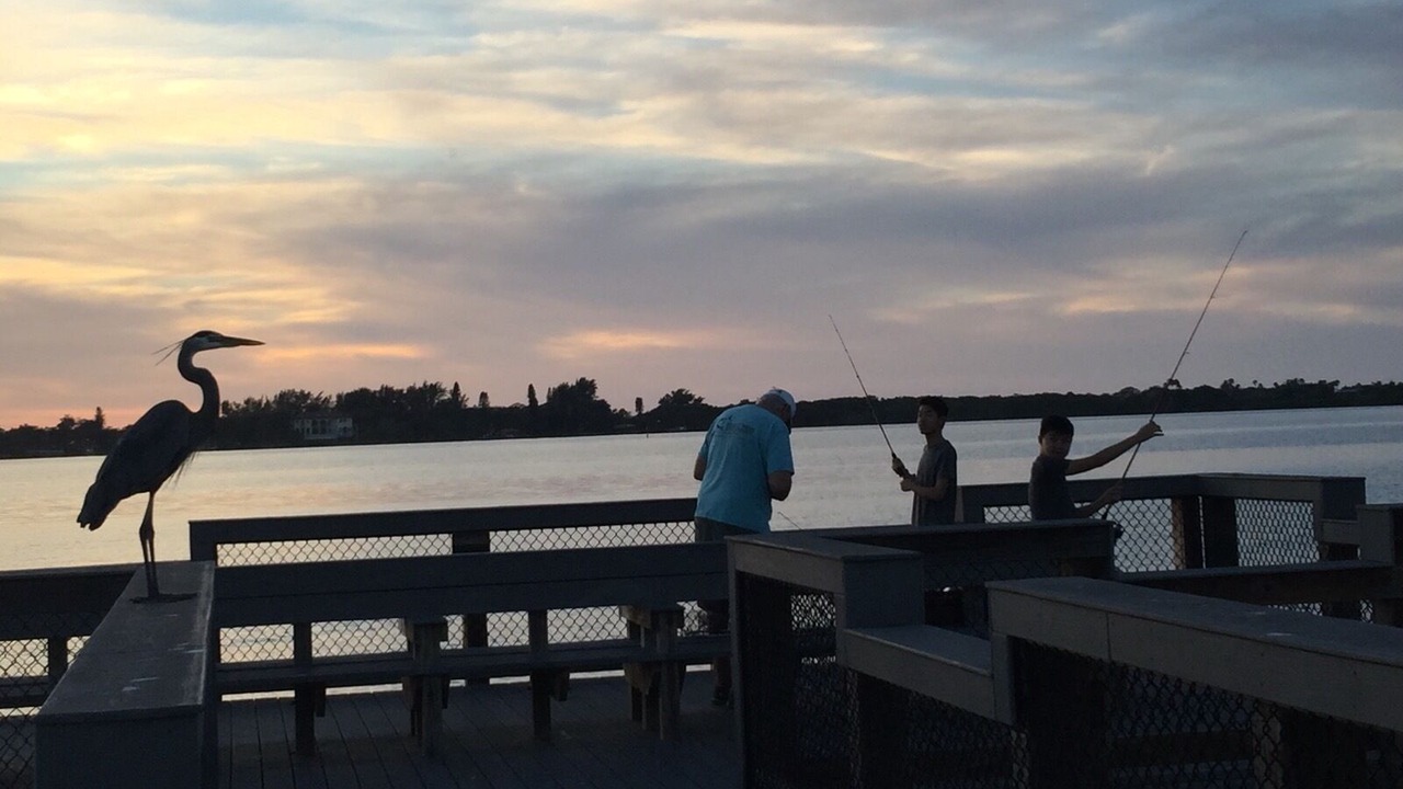 Photo of Others in Osprey Village