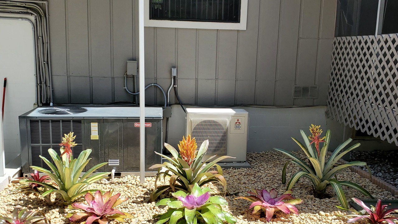 Photo of Outdoor in Citrus Springs