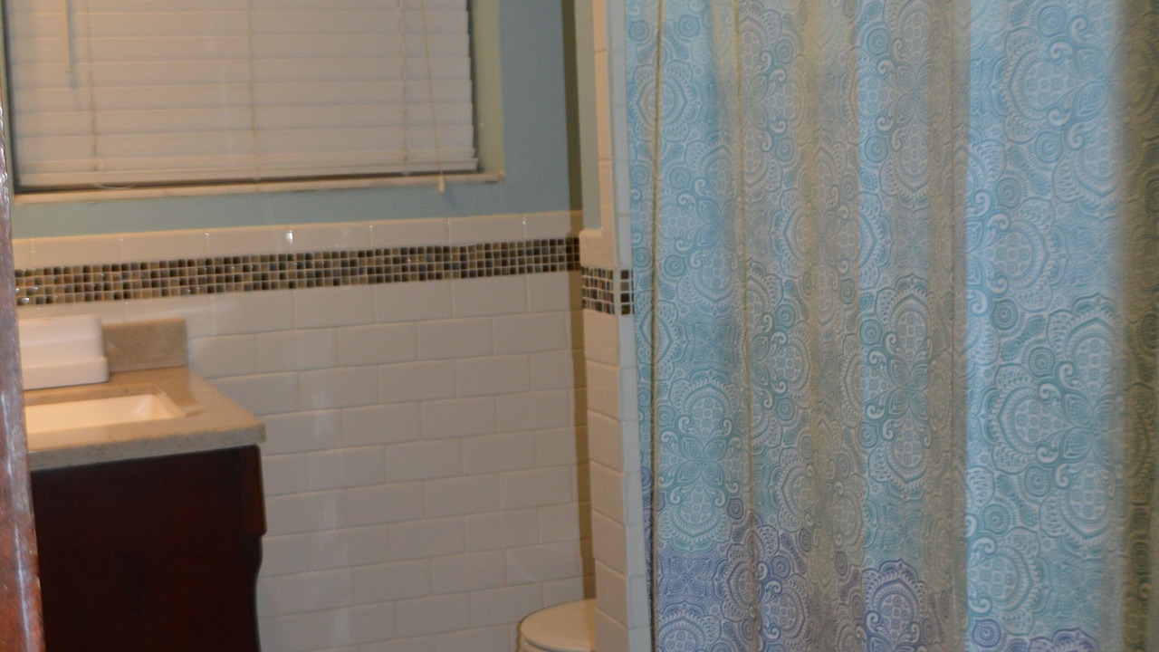 Photo of Bathroom in St. Pete Beach