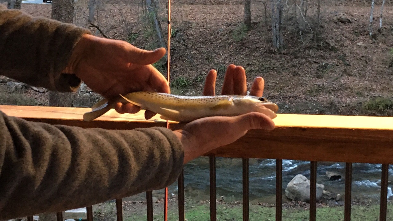 Photo of Outdoor in Bryson City