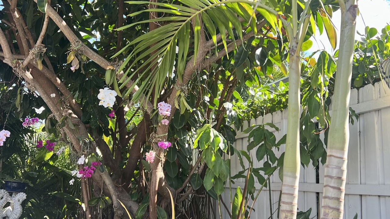 Photo of Outdoor in Jupiter