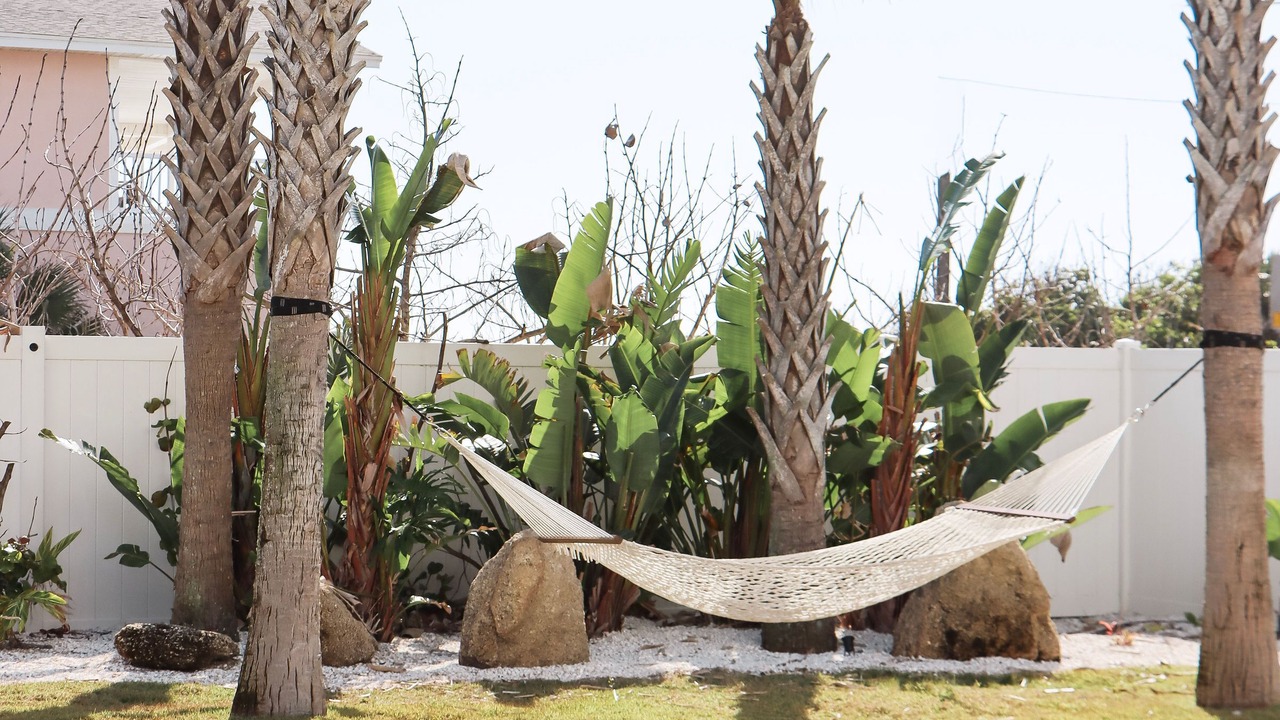 Photo of Outdoor in Vilano Beach