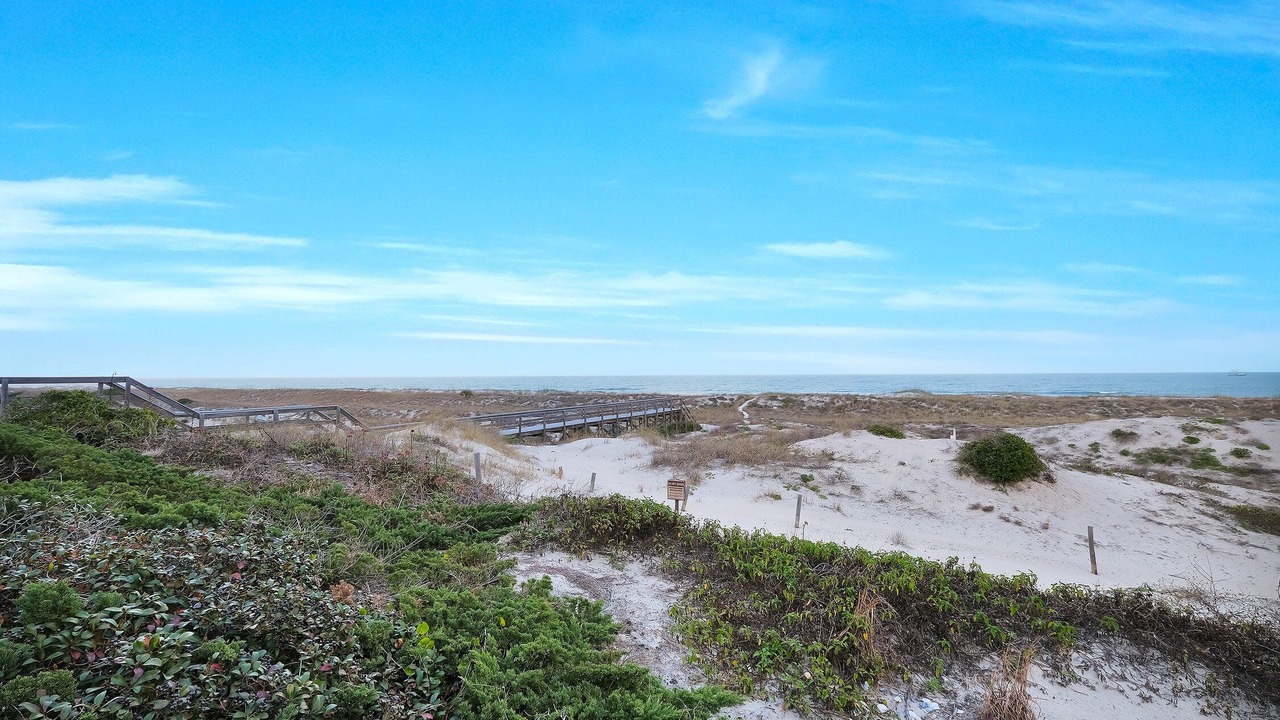 Photo of Others in American Beach