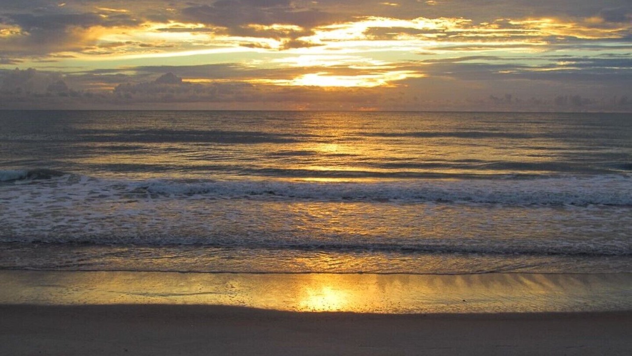 Photo of Others in Ocean Grove Terrace