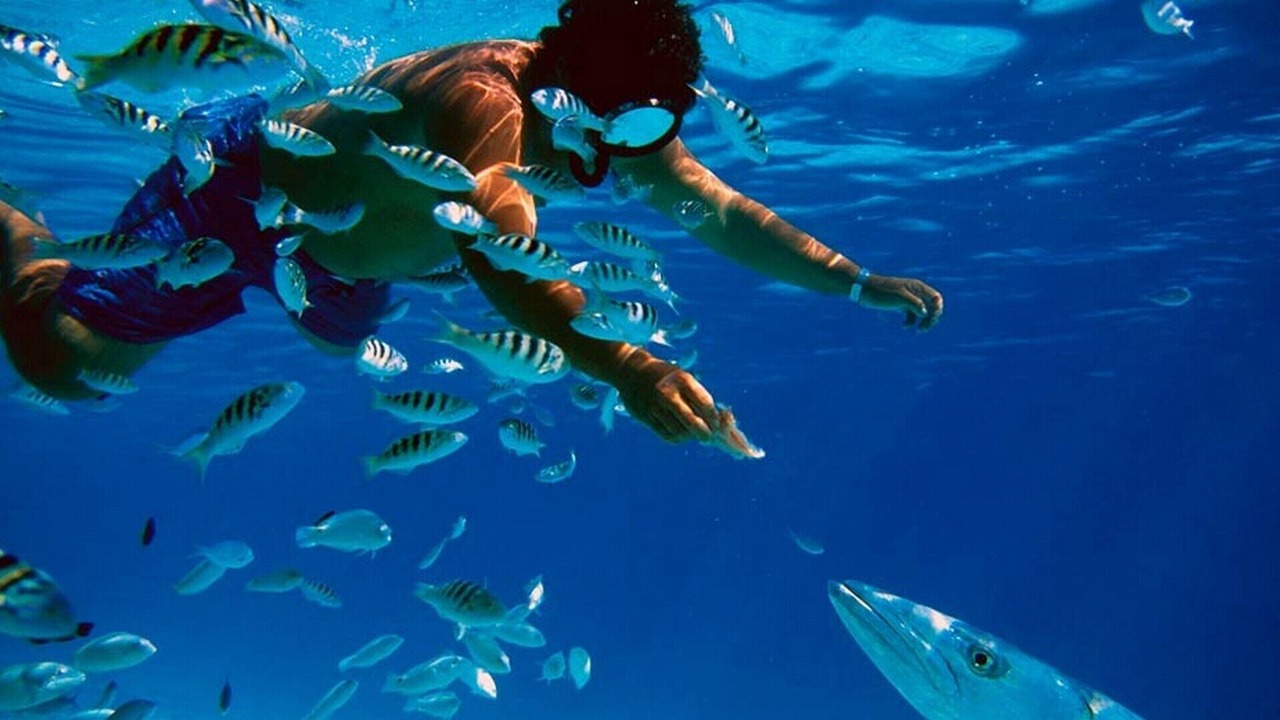 Photo of Others in Hallandale Beach