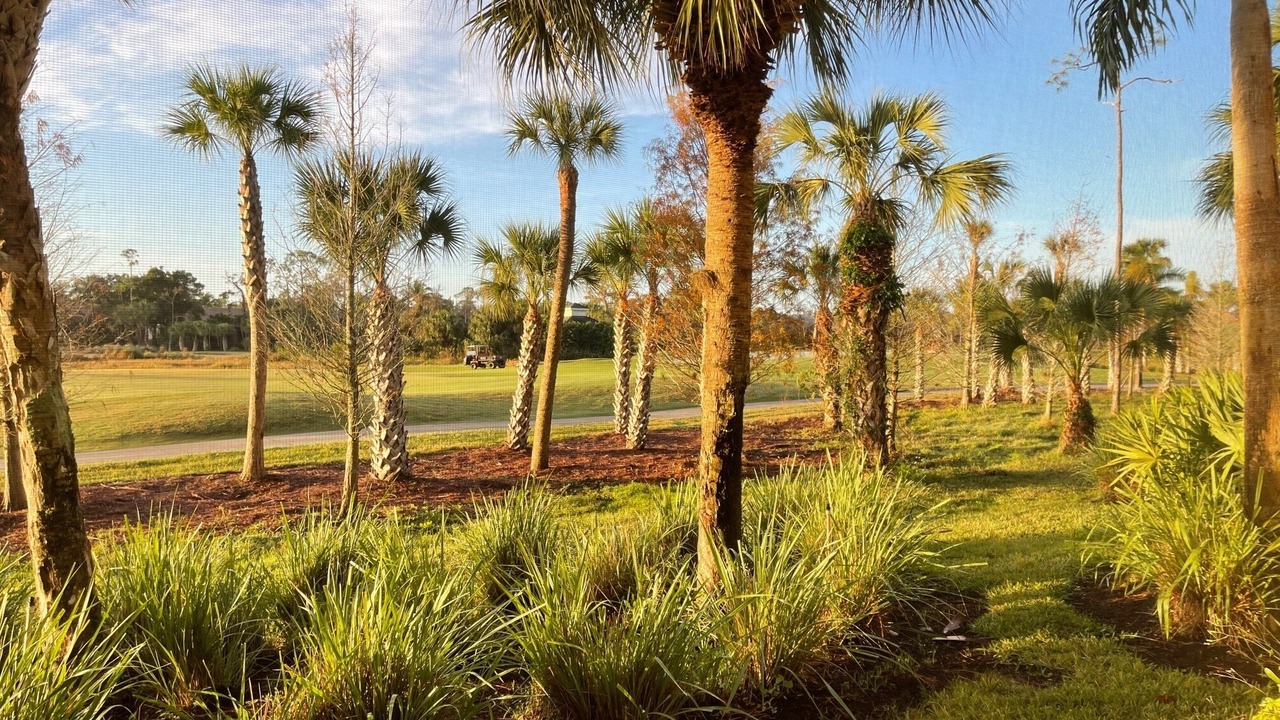Photo of Outdoor in Naples