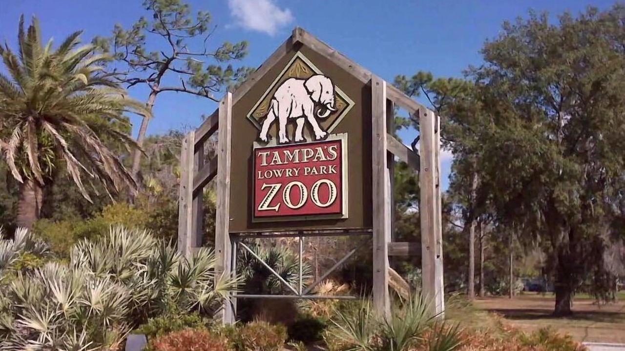 Photo of Others in Citrus Park