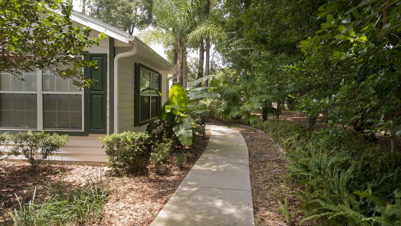 Photo of Outdoor in Summerfield