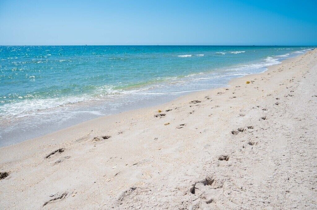 Photo of Others in Pompano Beach