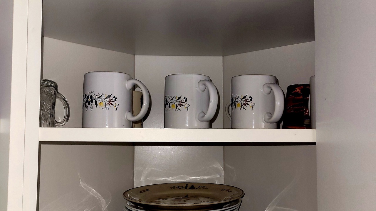 Photo of Kitchen in Lutz