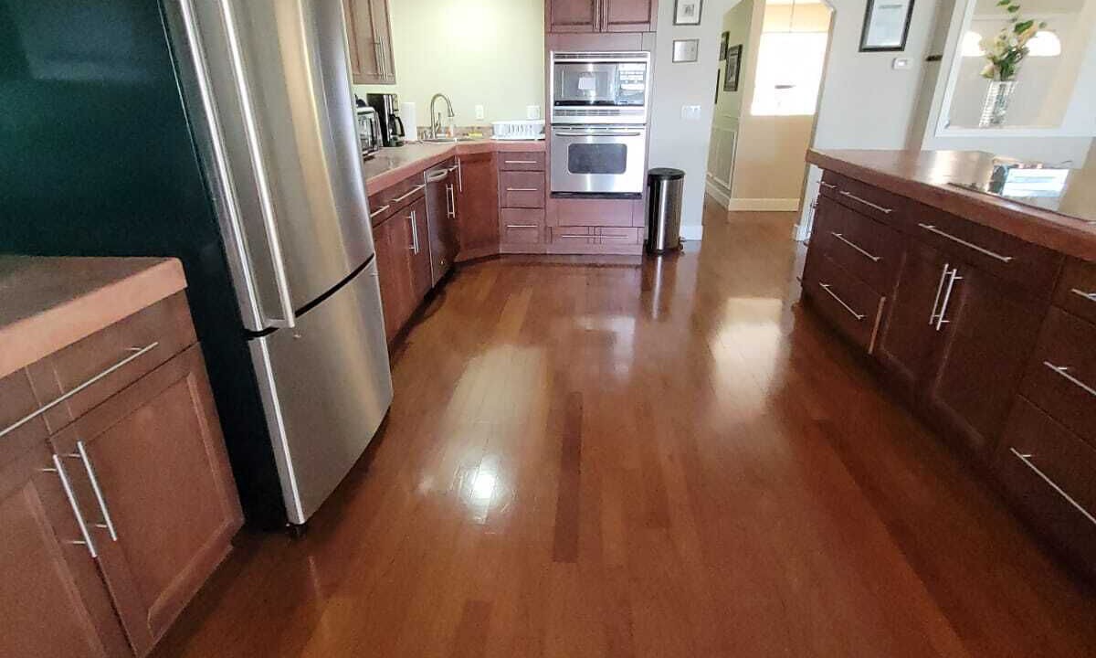 Photo of Kitchen in Lutz