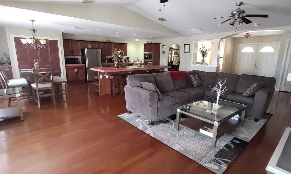 Photo of Livingroom in Lutz