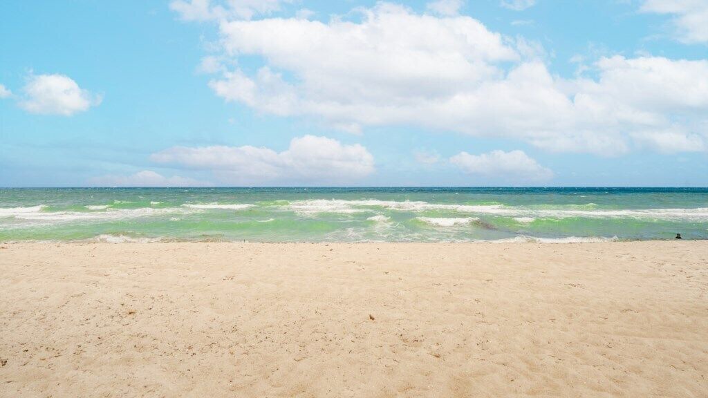 Photo of Others in Pompano Beach