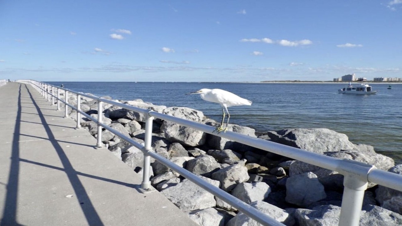 Photo of Others in Daytona Beach Shores