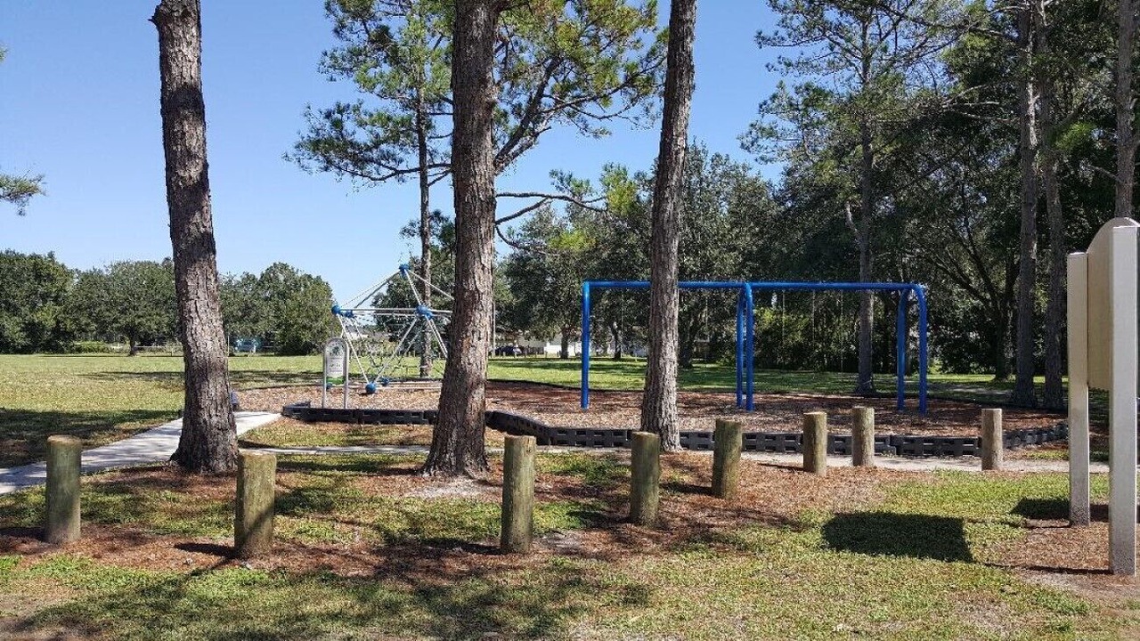 Photo of Others in Carrollwood