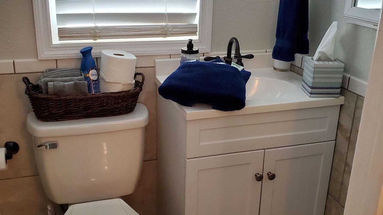 Photo of Bathroom in Tavares