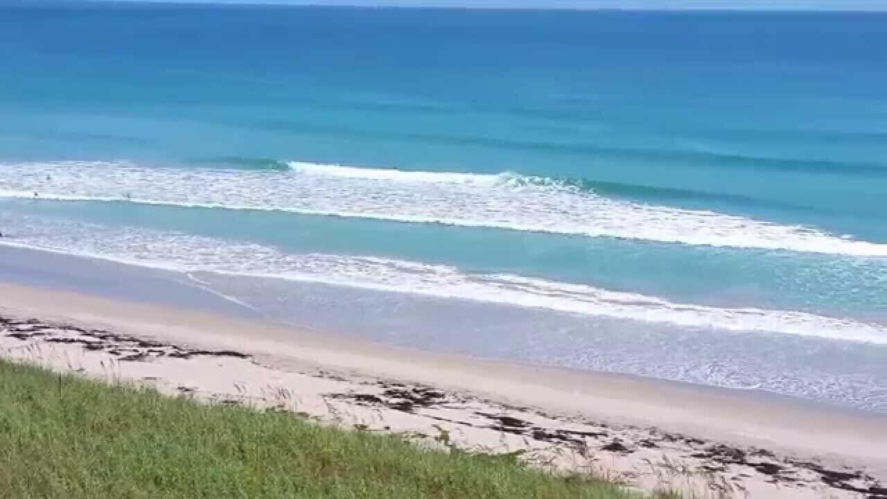 Photo of Others in Nettles Island