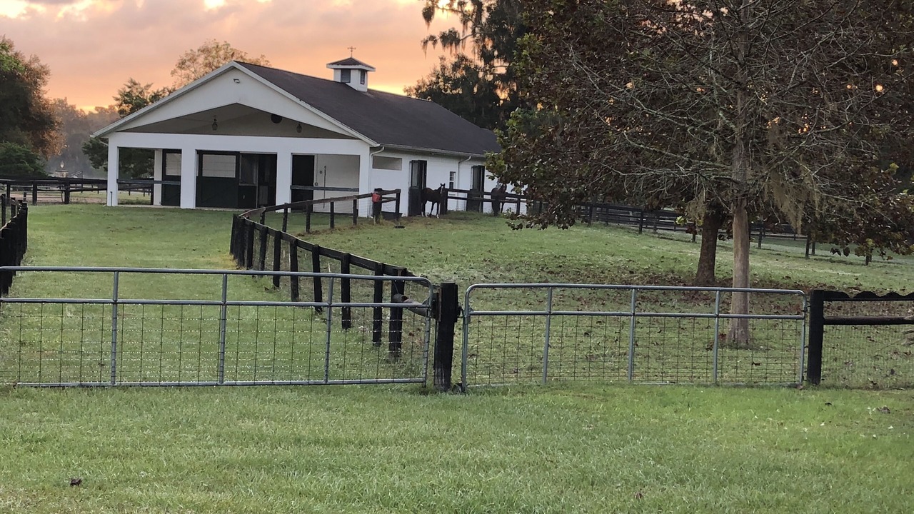 Photo of Outdoor in Fellowship