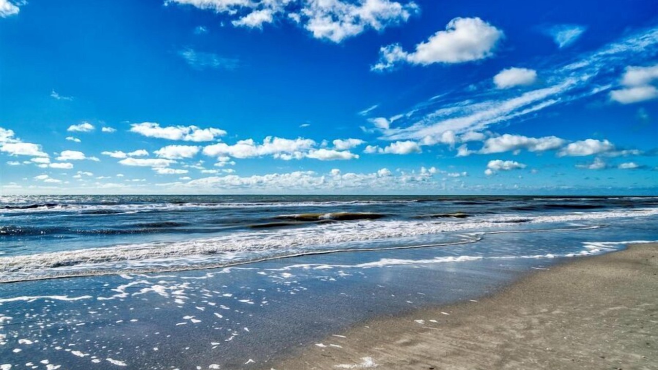 Photo of Others in Madeira Beach