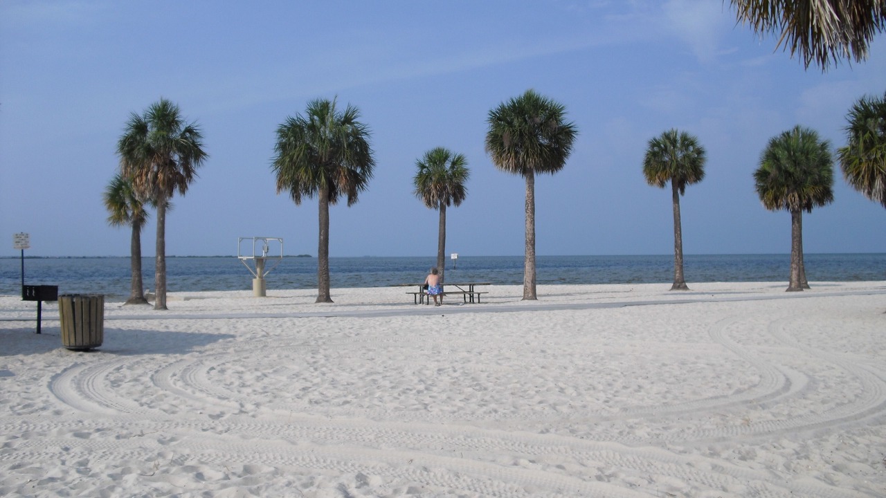 Photo of Others in Spring Hill