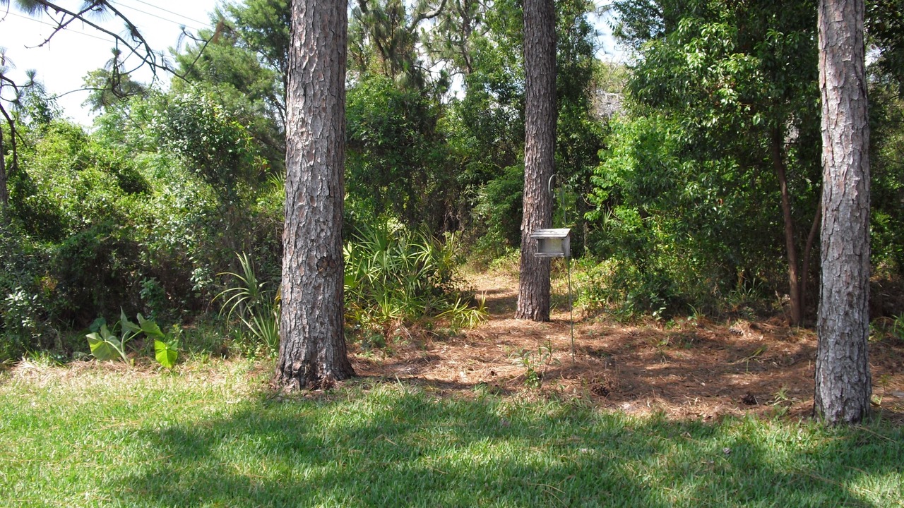 Photo of Outdoor in Spring Hill