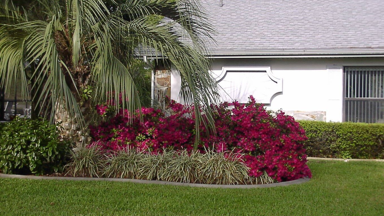 Photo of Others in Spring Hill