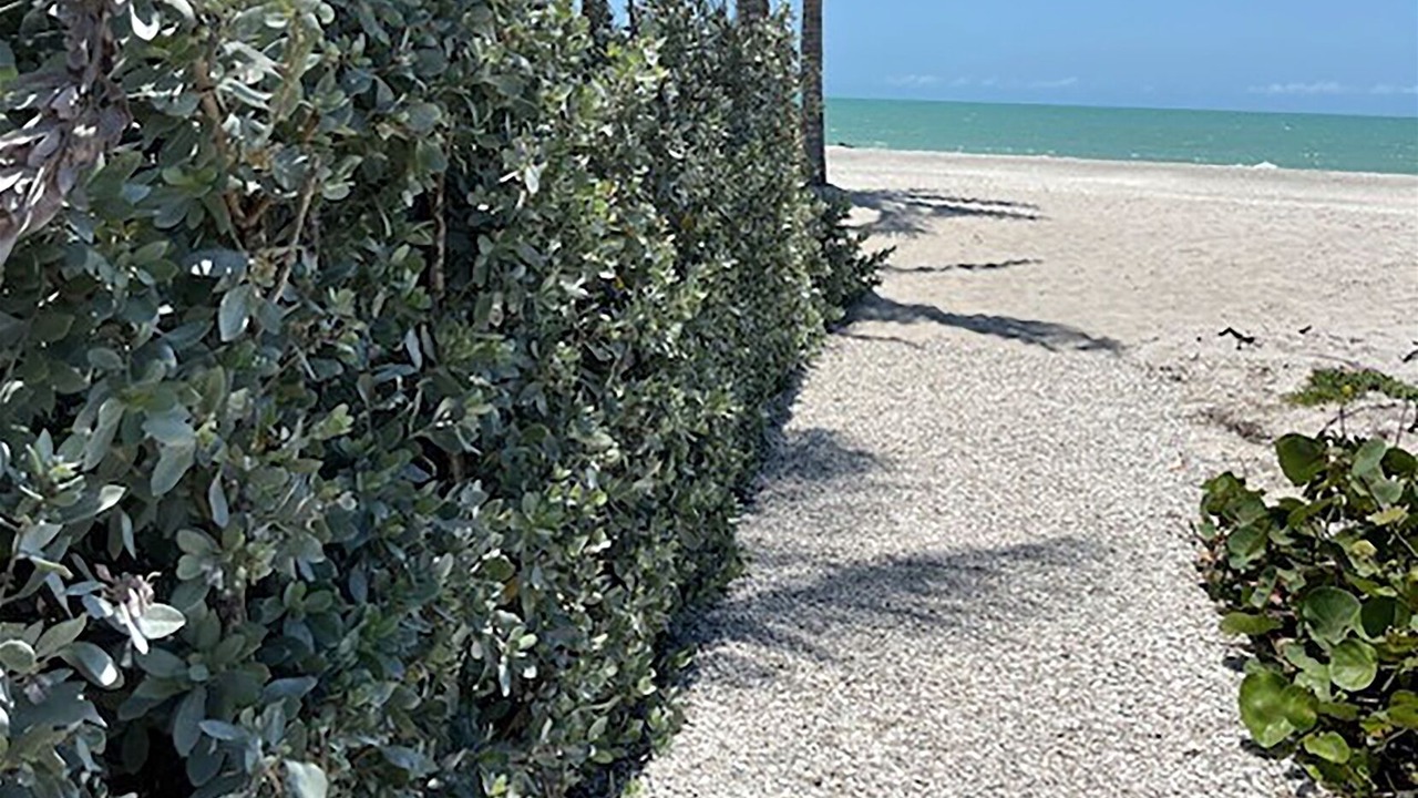 Photo of Others in Sanibel