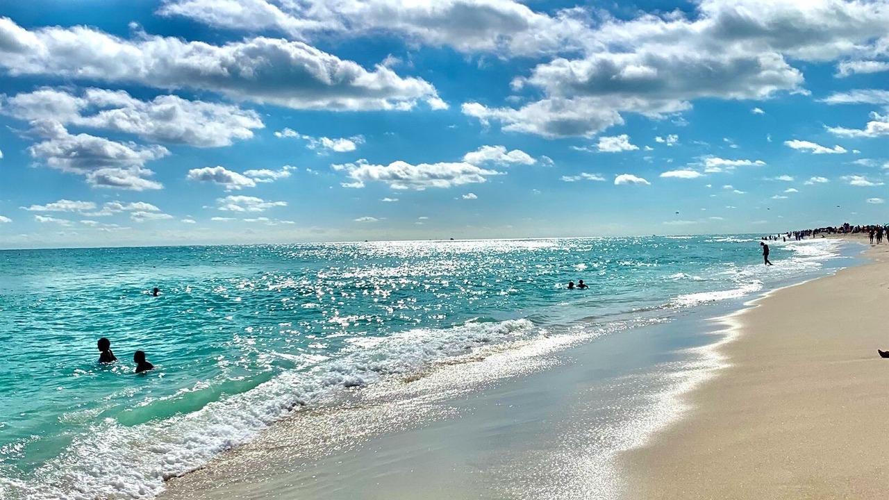 Photo of Others in Singer Island