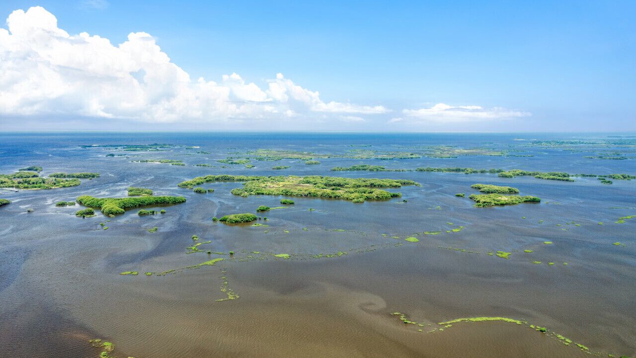 Photo of Others in Cedar Key