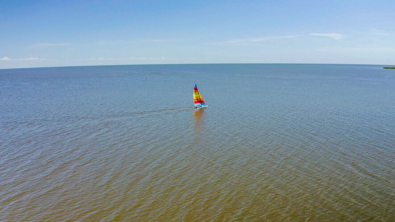 Photo of Others in Cedar Key