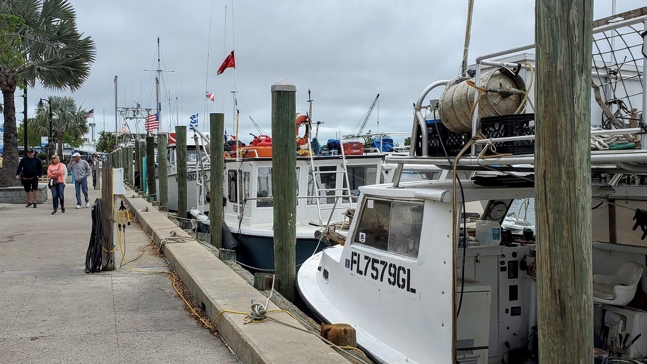 Photo of Others in Tarpon Springs