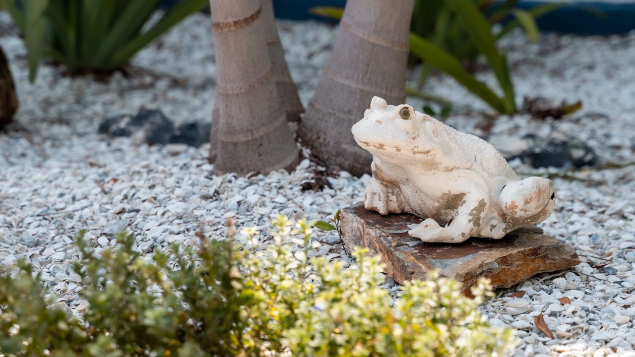 Photo of Outdoor in Tarpon Springs