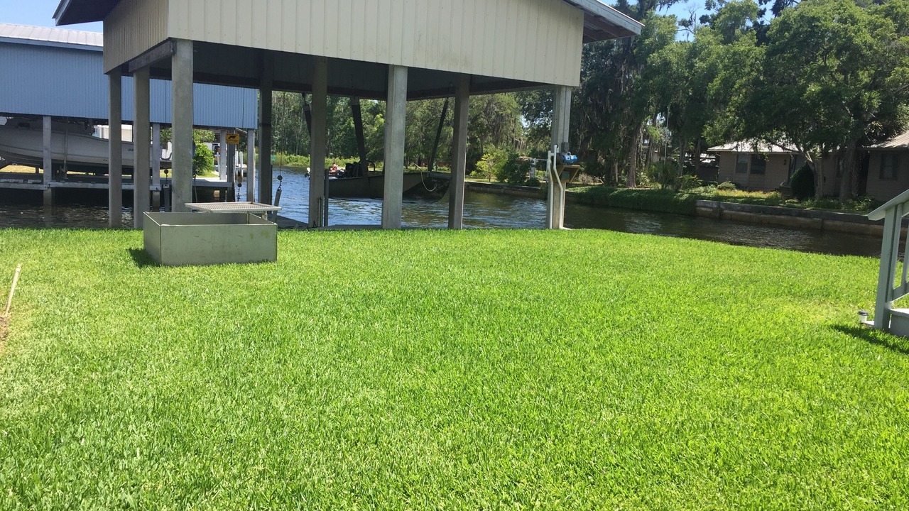 Photo of Outdoor in Suwannee