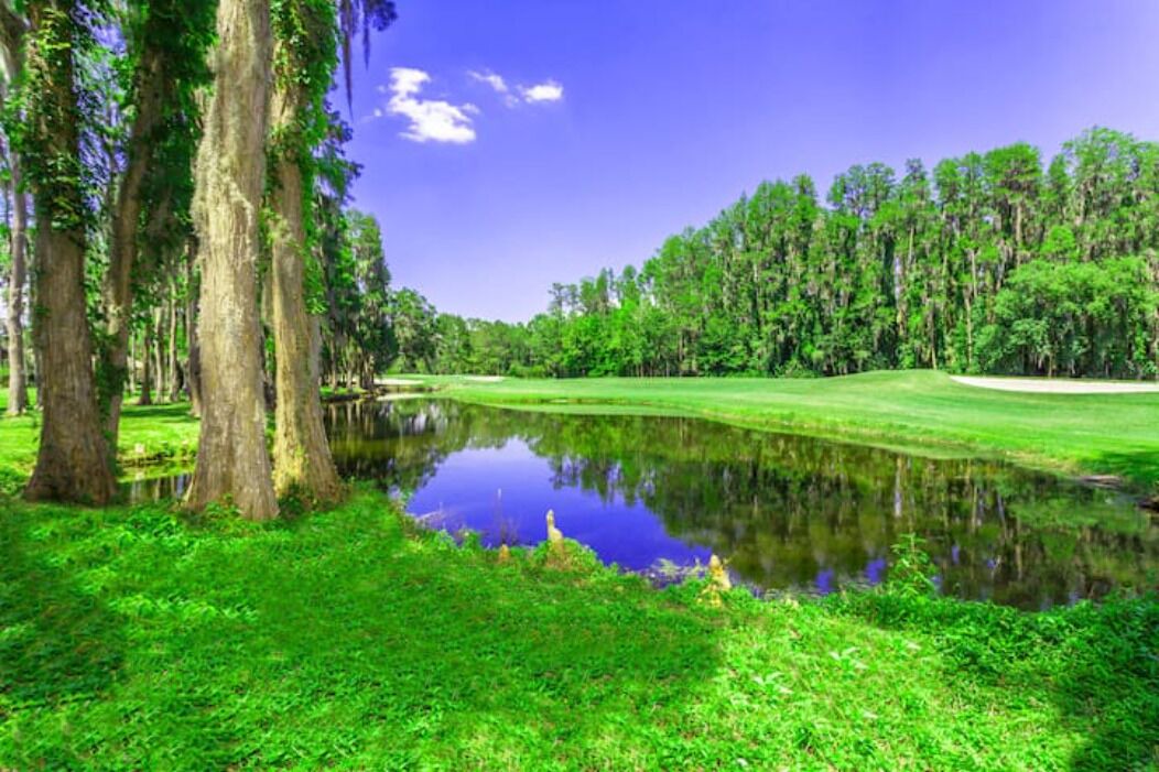Photo of Outdoor in Wesley Chapel