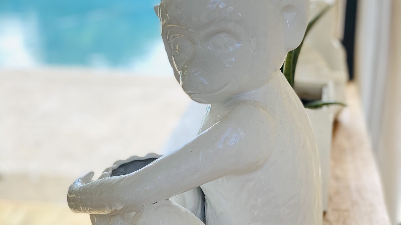 Photo of Others in Coral Ridge Isles