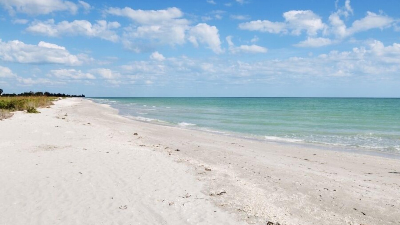 Photo of Others in Sanibel