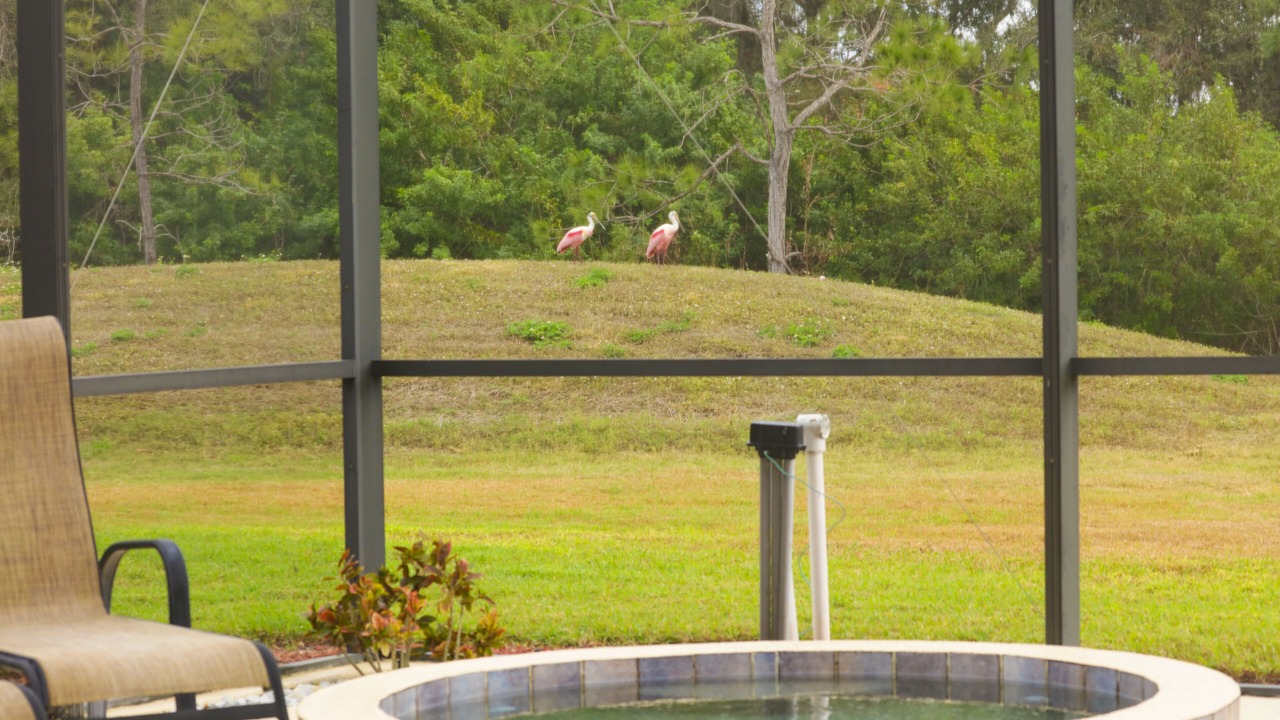 Photo of Outdoor in Braden River