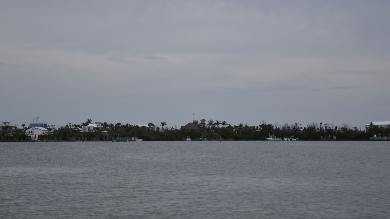 Photo of Others in Jose's Hideaway