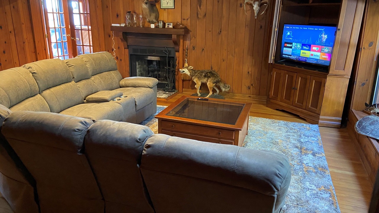 Photo of Bedroom in Spring Hill