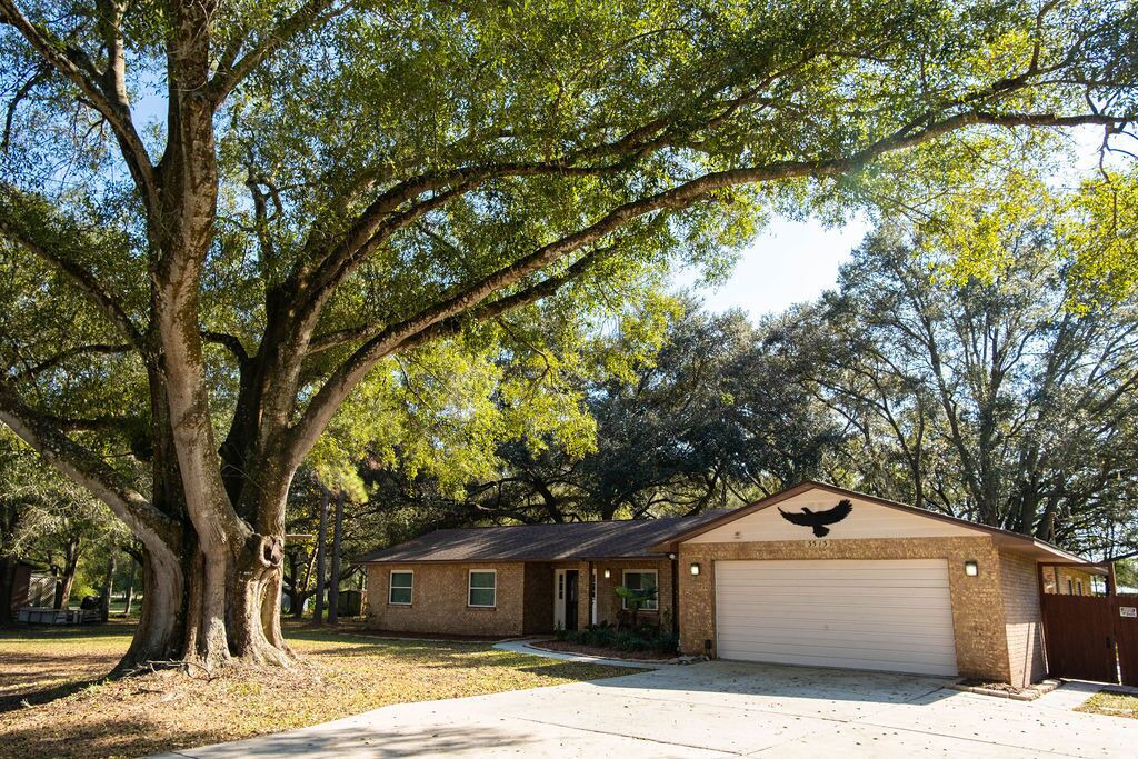 Photo of Outdoor in Wesley Chapel