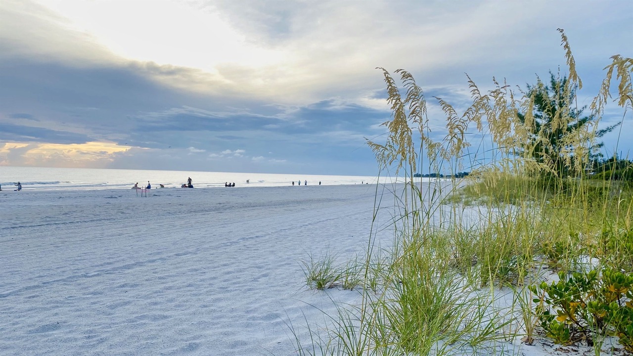 Photo of Others in Whitney Beach