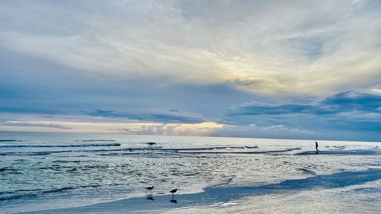 Photo of Others in Whitney Beach
