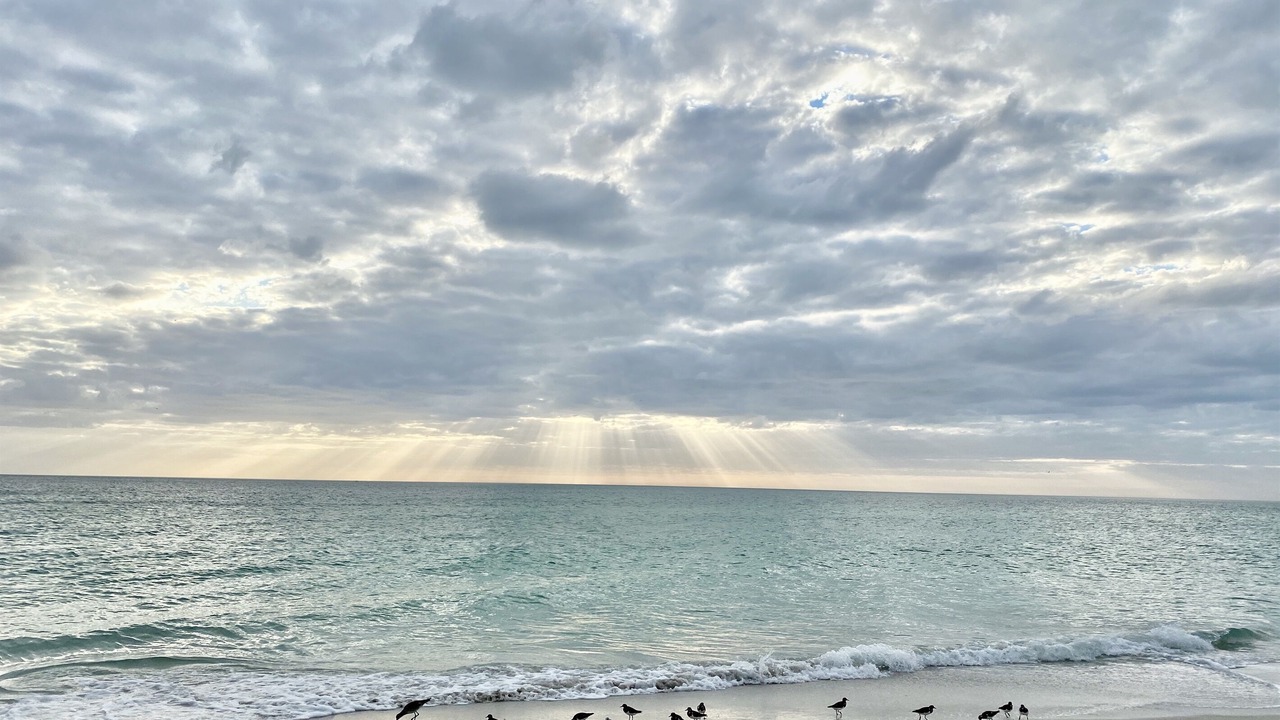 Photo of Others in Whitney Beach