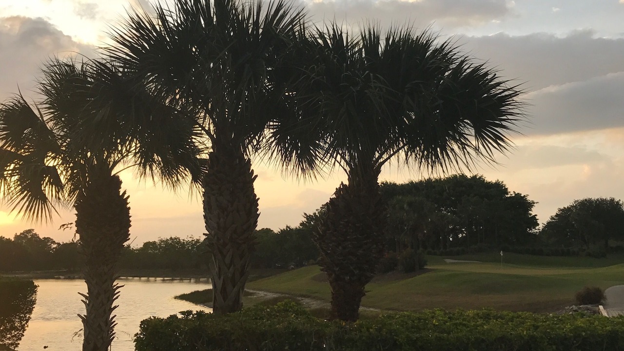 Photo of Others in Heritage Palms