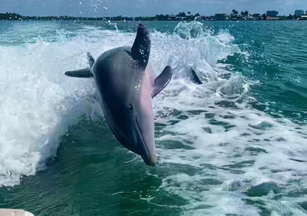 Photo of Others in Isles of Capri