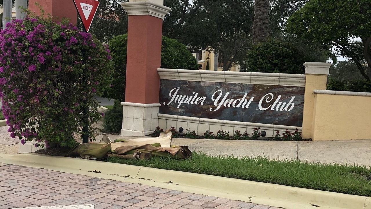 Photo of Outdoor in Jupiter Bay