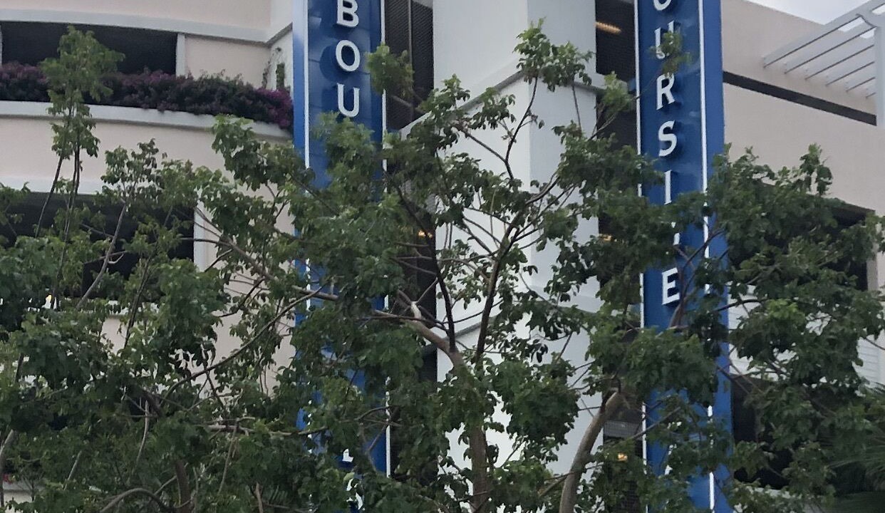 Photo of Outdoor in Jupiter Bay